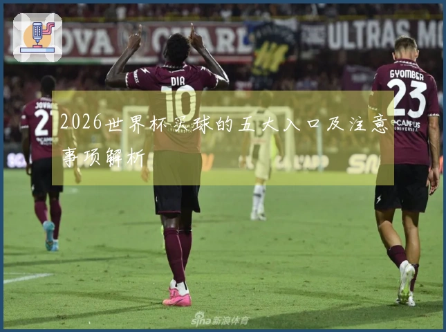 2026世界杯买球的五大入口及注意事项解析