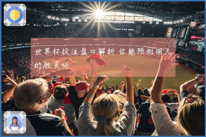 世界杯投注盘口解析 你能预测明天的胜负吗