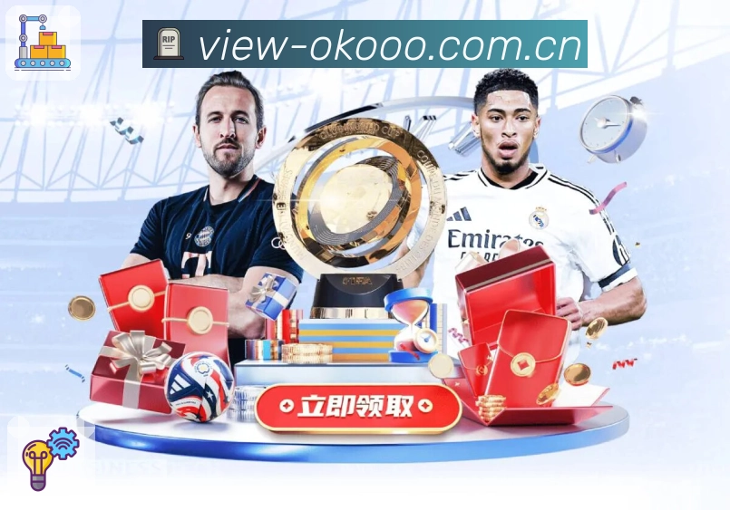 全球访问热力分布图